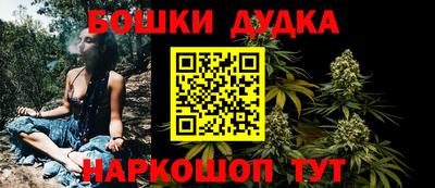 крисы Ирбит