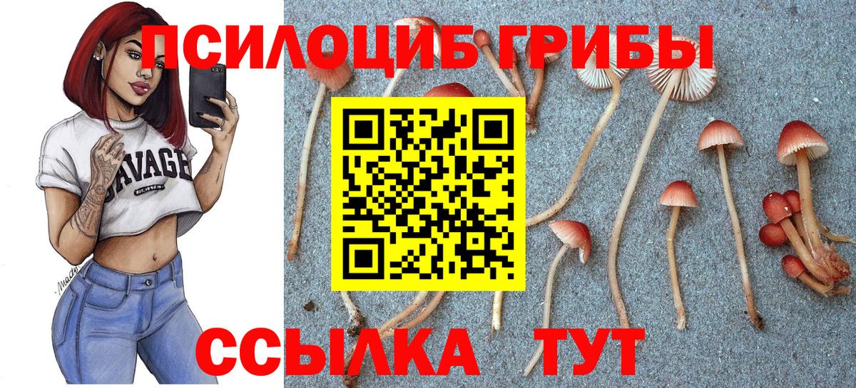 Галлюциногенные грибы Psilocybine cubensis  Псилоцибиновые грибы Psilocybine cubensis  Будённовск  Вход с VPN 