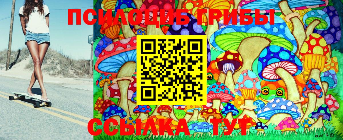 Галлюциногенные грибы Magic Shrooms Будённовск